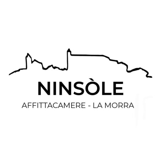 cropped-logo-ninsole