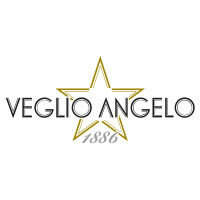 veglio-logo
